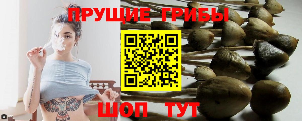 Нальчик  Псилоцибиновые грибы мухоморы  Вход с VPN 
